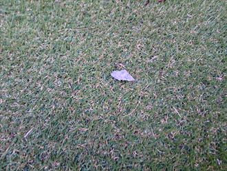 パミール　破片